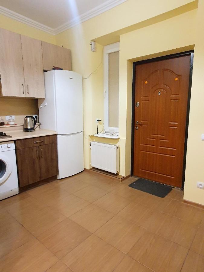 Homey Apartment On Vicheva Str. Lwów Zewnętrze zdjęcie